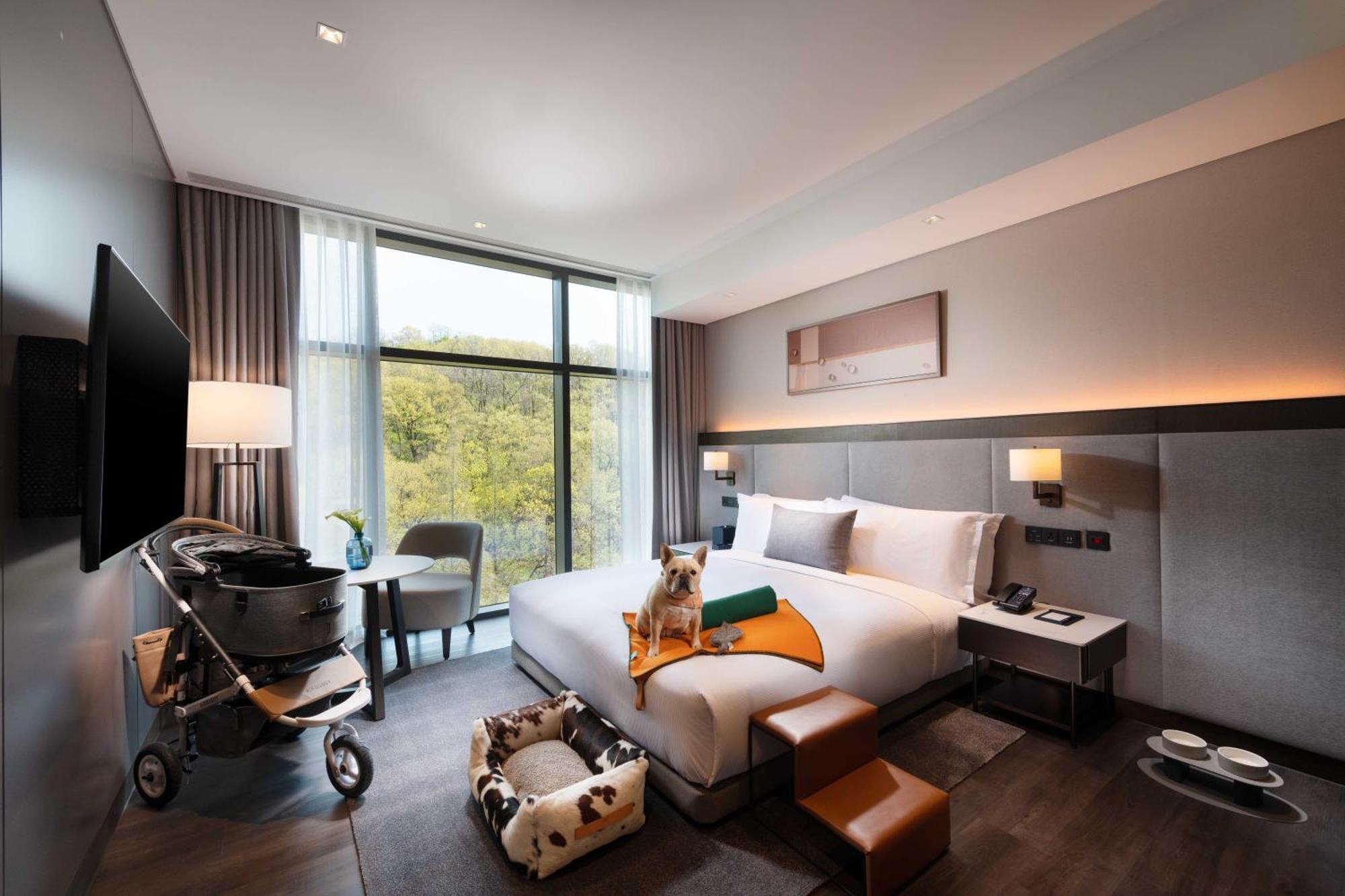 Doubletree By Hilton Seoul Pangyo Hotel Seongnam